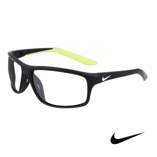 Nike Adrenaline 22
